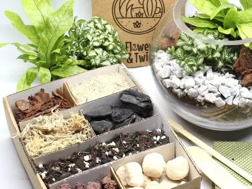DIY Terrarium Kit