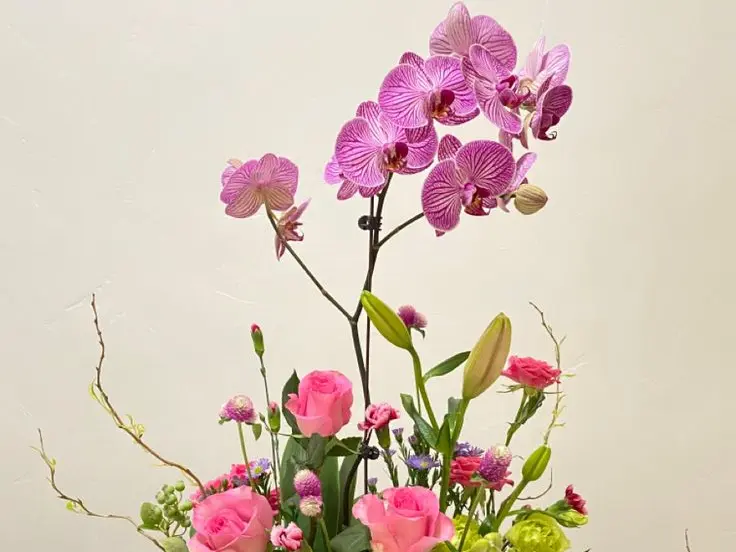 Elegant Orchid Arrangement