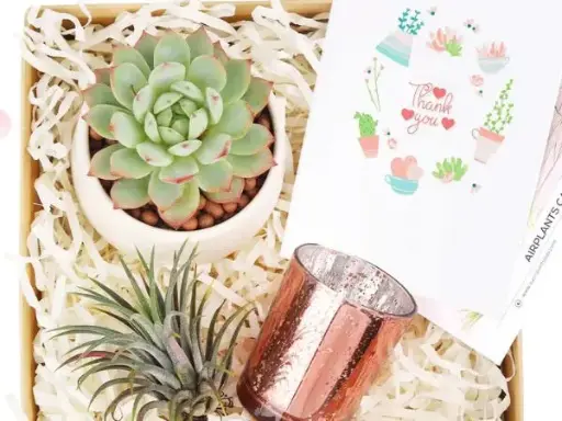 Corporate Gift Box