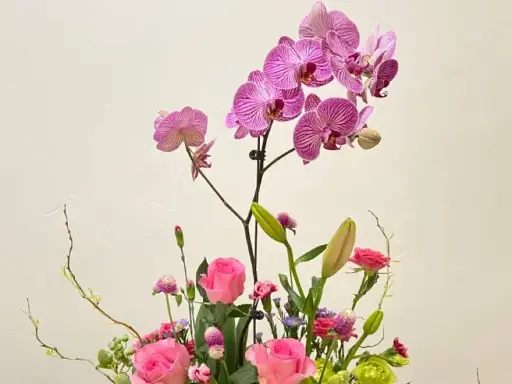 Elegant Orchid Arrangement